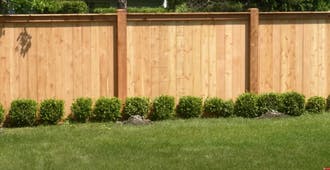 Wooden fence behind lawn with shrubs